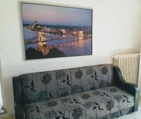 Belgrade River view 1